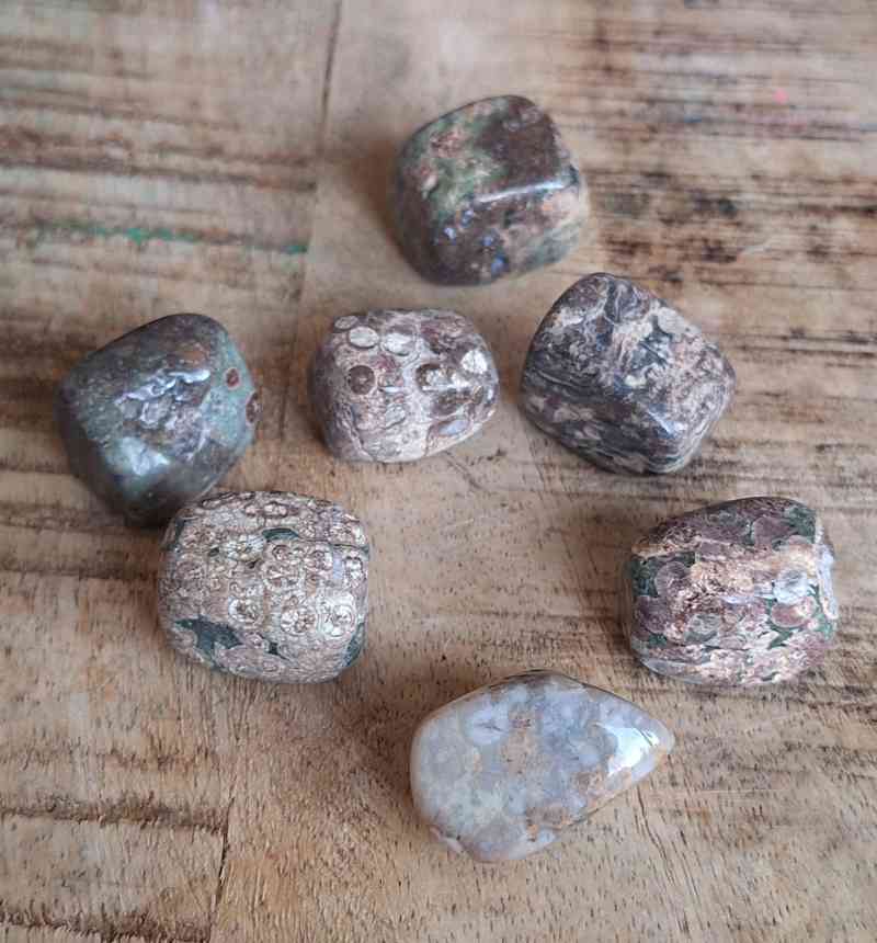 OCEAN JASPER - Joy, Positivity, Curiosity